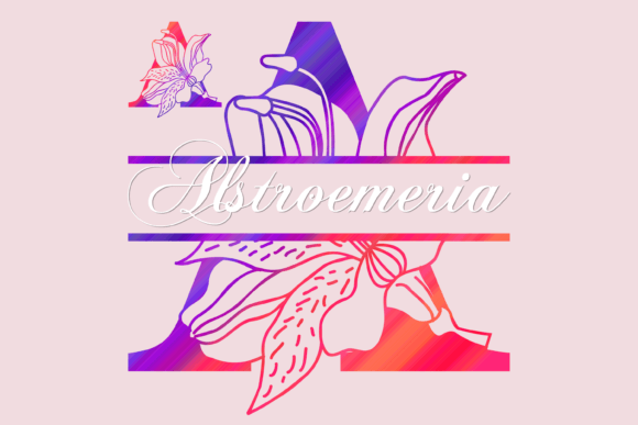 Alstroemeria Split Font: A Simple Typography Upgrade for a Polished Brand
