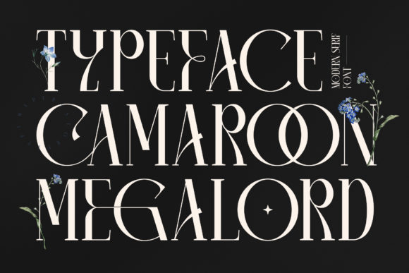 Camaroon Megalord: A Stylish Typeface for Polished Web Design